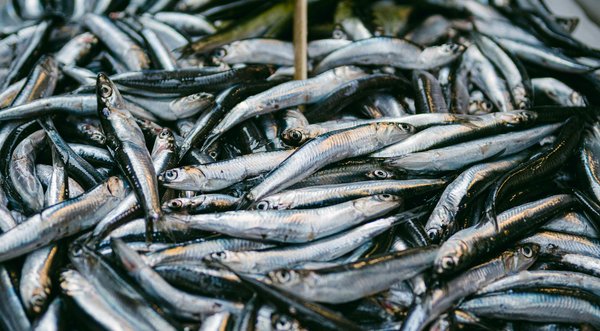 Les personnes âgées et les MST : un enjeu sous-estimé