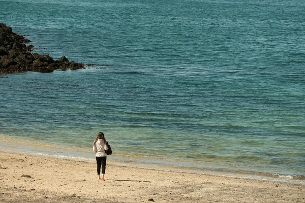 Les applications mobile pour aider à lutter contre l'obésité