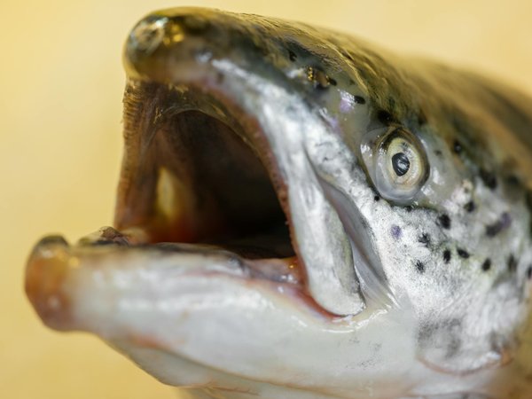 Prévenir les maladies oculaires: rester vigilants