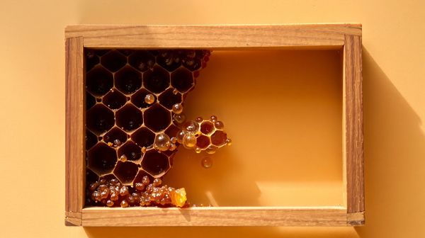 Propolis et ses bienfaits : le trésor naturel à découvrir